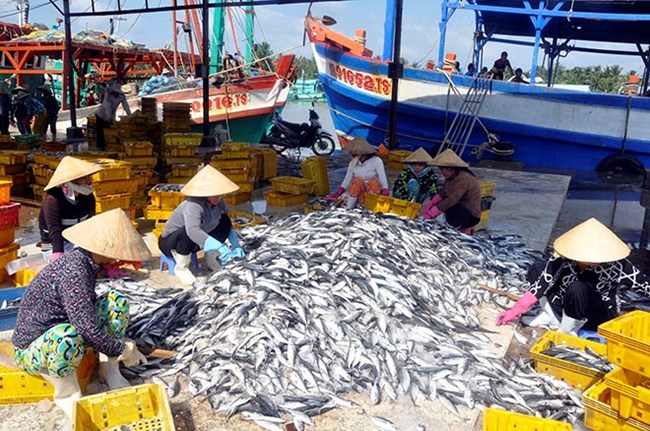 Nghề cá và vấn đề nguồn nhân lực (13/3/2016)